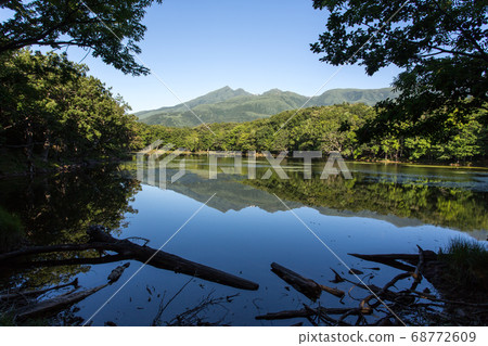 Silhouettes of Shiretoko mountains and driftwood reflected in the Shiretoko Five Lakes in summer Silhouettes of Shiretoko mountains and driftwood reflected in the Shiretoko Five Lakes in summer 68772609