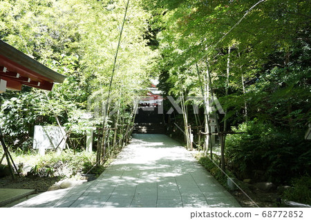 Kinomiya神社熱海,通往崇拜的道路 Kinomiya神社熱海,通往崇拜的道路 68772852