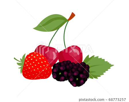 Vector flat illustration of strawberry, cherries, blackberries 68773257