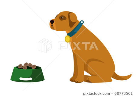 Vector character cute big sitting dog feeding 68773501