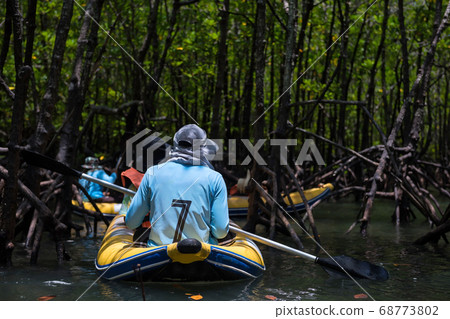 canoeing to mangrove forest swamp, Phang Nga 68773802