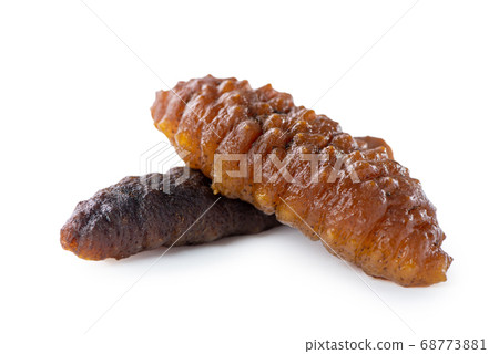 Sea cucumber white background cut back clipping path sea cucumber isolated ナマコ 切り抜き 68773881
