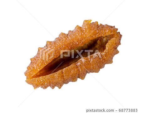 海參 白底 去背 裁剪路徑 sea cucumber isolated ナマコ 切り抜き 68773883