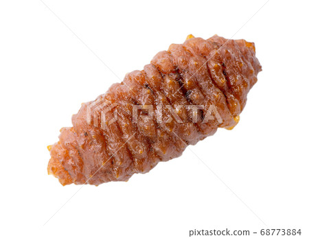 海參 白底 去背 裁剪路徑 sea cucumber isolated ナマコ 切り抜き 68773884