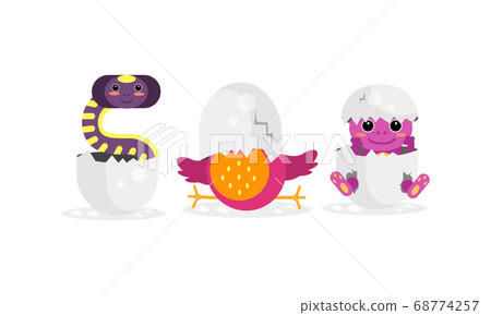 Cute Bird and Reptile Hatching from Egg Vector Set Cute Bird and Reptile Hatching from Egg Vector Set 68774257