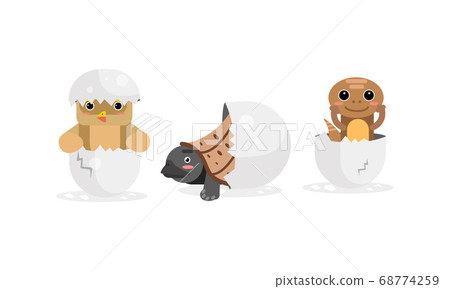 Cute Birds and Reptile Hatching from Egg Vector Set 68774259