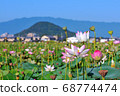 Senbon lotus, the site of Kyohara Fujiwara, Kashihara City, Nara Prefecture 68774474