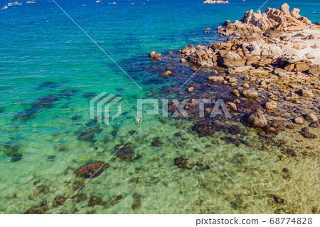 The woman is snorkeling among the corals. View from the drone The woman is snorkeling among the corals. View from the drone 68774828