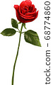 Red rose one wheel illustration material 68774860