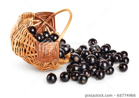 black currant in wicker basket isolated on white background with clipping path and full depth of field 68774966