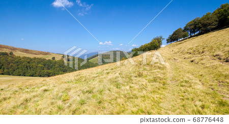 grassy meadow in mountains. beautiful landscape of grassy meadow in mountains. beautiful landscape of 68776448