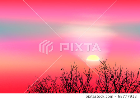 colorful sunset back on silhouette dry tree dark 68777918