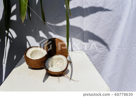 Coconut Day.Coconut Photography.Coconut Tree. 68778630
