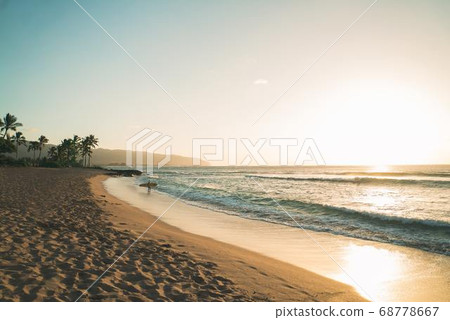 Coconut Day.Coconut Photography.Coconut Tree. 68778667