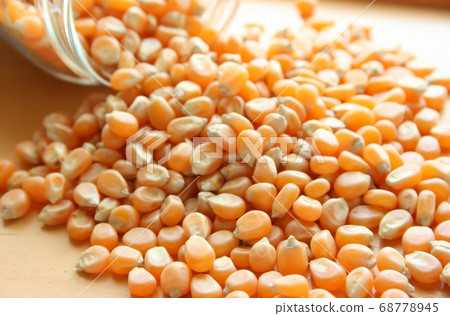 corn corn 68778945