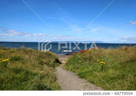 Path Through the Dunes to the Beach Path Through the Dunes to the Beach 68779504