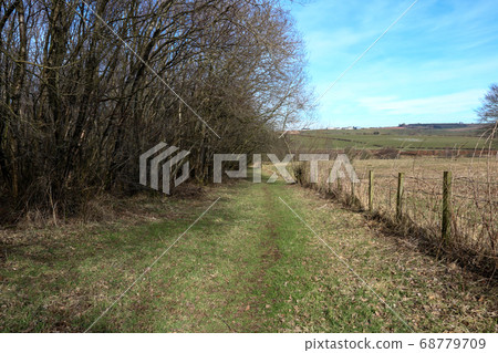 Country Lane on a Winter Evening Country Lane on a Winter Evening 68779709