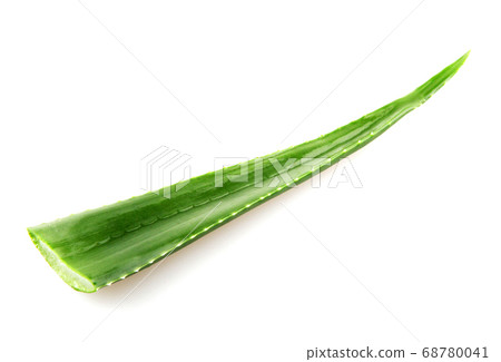 Aloe Vera Plant Isolated On White 68780041