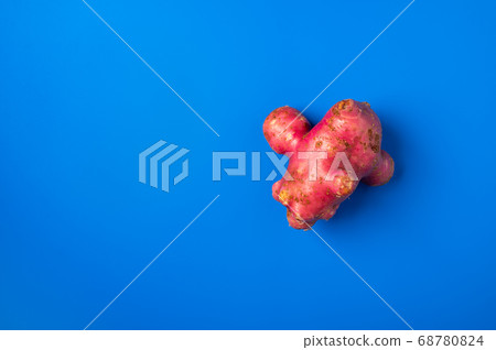 Trendy ugly organic potato from home garden on on a blue background Trendy ugly organic potato from home garden on on a blue background 68780824