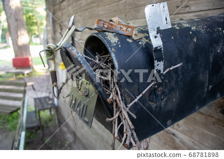 Close up of an Old Abandoned country mail box with bird nest inside it  68781898