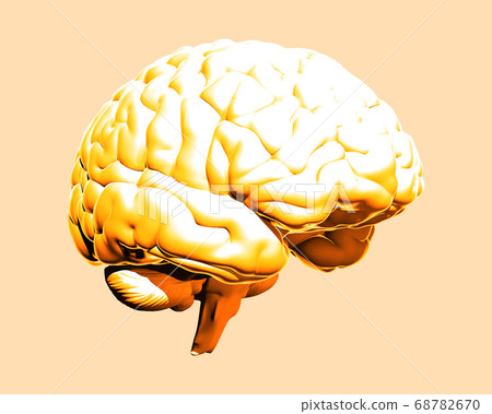 Yellow human brain illustration isolated on 68782670