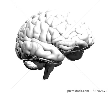 Monochrome human brain illustration isolated on Monochrome human brain illustration isolated on 68782672
