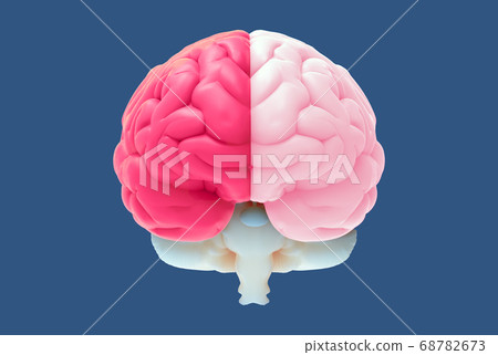 3D brain illustration with left and right function-插圖素材 [68782673 ...