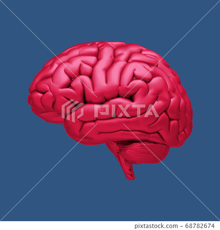 Human brain illustration isolated on dark blue BG Human brain illustration isolated on dark blue BG 68782674