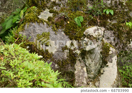 Forest of the 500 Rakans-Hakone/Sengokuhara Forest of the 500 Rakans-Hakone/Sengokuhara 68783990