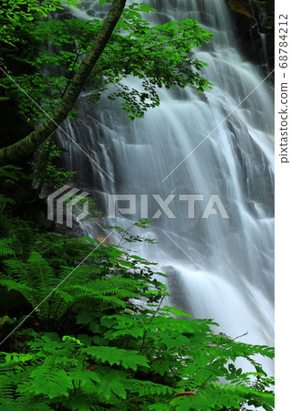 Summer Kitanozawa Otaki Summer Kitanozawa Otaki 68784212