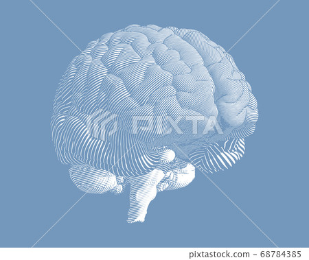 Retro style brain illustration isolated on blue BG - Stock Illustration ...
