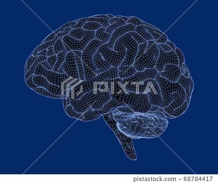 3D digital wireframe brain isolated on blue BG 68784417