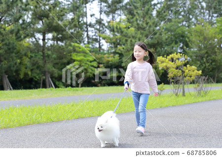 公園裡的女孩和她的狗博美犬同行 68785806