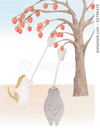 貓的秋天摘柿子 貓的秋天摘柿子 68786429