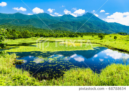 Hokkaido Shiretoko Peninsula Summer Shiretoko Five Lakes (Ichiko and Shiretoko Mountain Range) 68788634