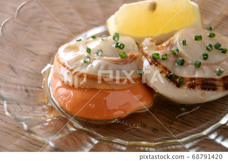 扇貝 扇貝 68791420