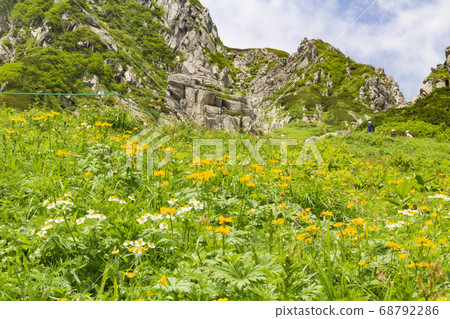 Senjojiki curl trail and flower garden 68792286