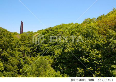 紀念碑，綠色，植物，天空，百年紀念碑，札幌市，北海道 68792305