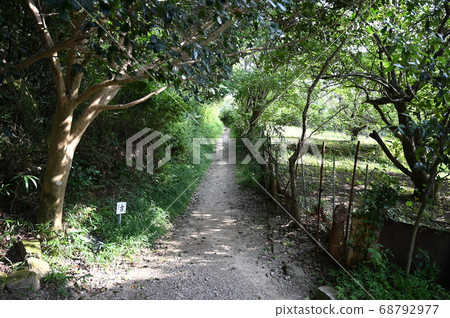Hinohara Shrine Nagatorii Mountain Road Hinohara Shrine Nagatorii Mountain Road 68792977