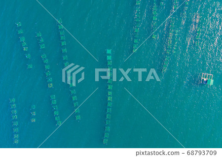 Lots of marine farms in a blue sea water. Sea farming concept Lots of marine farms in a blue sea water. Sea farming concept 68793709