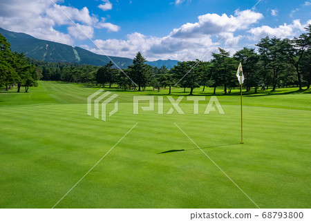Golf course, putting green, morning 68793800