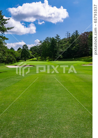 Golf course fairway summer vast grass Golf course fairway summer vast grass 68793837