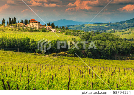 Fantastic vineyard landscape with stone house, Tuscany, Italy, Europe Fantastic vineyard landscape with stone house, Tuscany, Italy, Europe 68794134