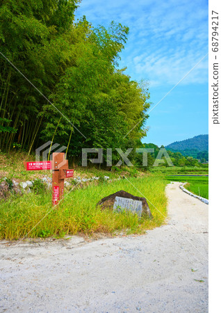 Road of the side of the mountain Futoshi Otomi monument 68794217