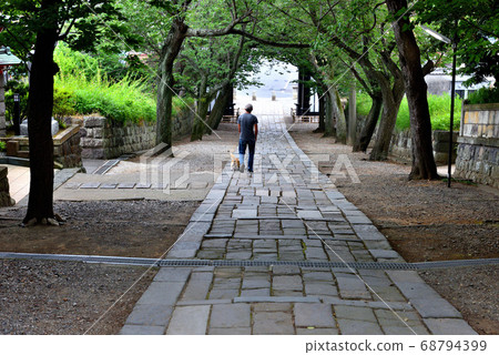 walk遊寺院的路上狗 walk遊寺院的路上狗 68794399