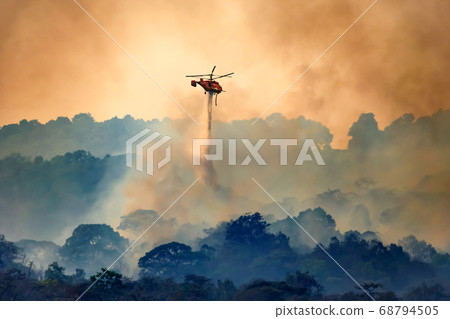 Firefithing helicopter dropping water on forest 68794505