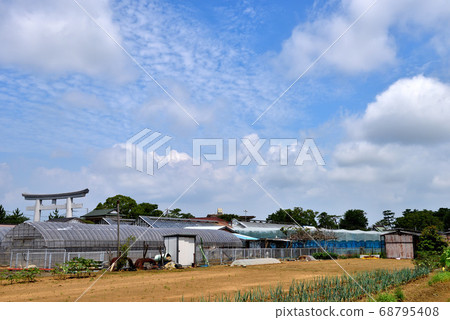 寒川神社鳥居，稻田，藍天和鱗片 68795408