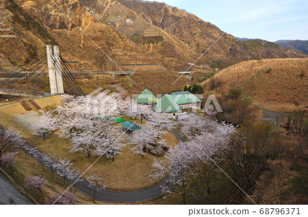 Ashio Sui dam dam seen from the top of Yoshino cherry tree 68796371