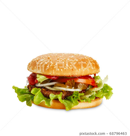 Classic hamburger with petty, ketchup, onion, Classic hamburger with petty, ketchup, onion, 68796463