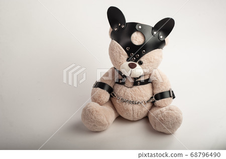 toy bear dressed in leather belts harness accessory for bdsm games on a light background toy bear dressed in leather belts harness accessory for bdsm games on a light background 68796490